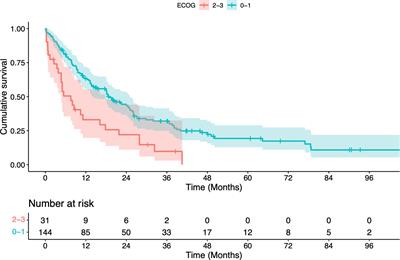 Chemoradiotherapy in geriatric patients with squamous cell carcinoma of the esophagus: Multi-center analysis on the value of standard treatment in the elderly